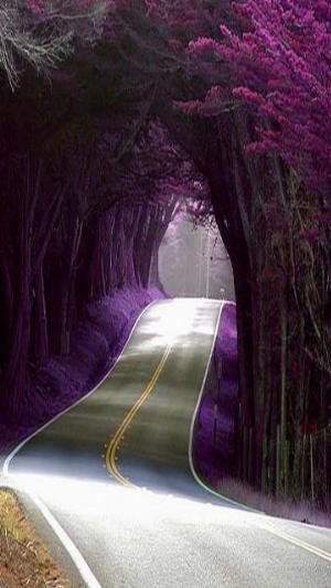 Beautiful Road.jpg Mixed